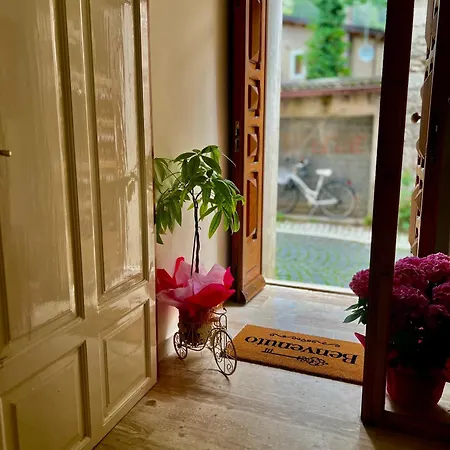 Animali Selvaggi Bed & Breakfast