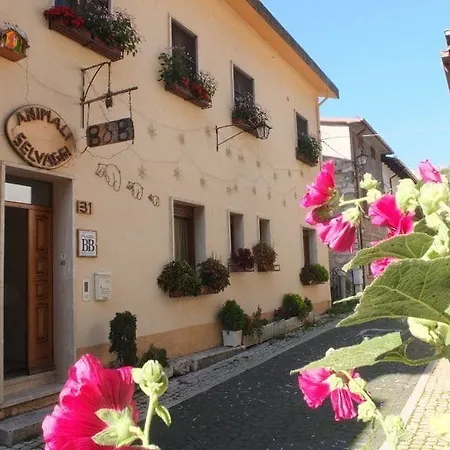 Animali Selvaggi Bed & Breakfast 3*