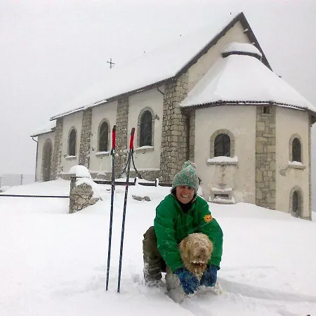 Animali Selvaggi